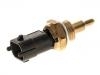 Temperature Sensor Temperature Sensor:55206393