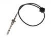 Temperature Sensor:55203808