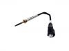 Capteur de T° Temperature Sensor:13 62 7 794 723