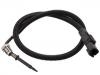 Capteur de T° Temperature Sensor:74 21 412 472