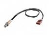 Lambdasonde Oxygen Sensor:0 258 006 862