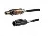 Oxygen Sensor:0 258 003 384